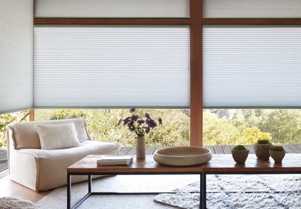 Living room featuring floor to ceiling windows with shades pulled nearly all the way down.